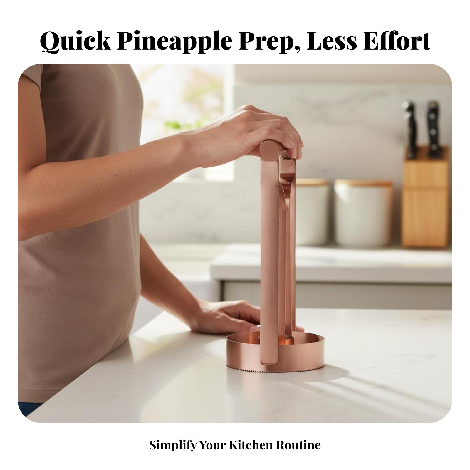Stainless Steel Pineapple Cutt - Kitchen Gadgets Usa ulasan dan harga